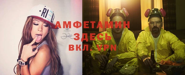 стаф Алексин