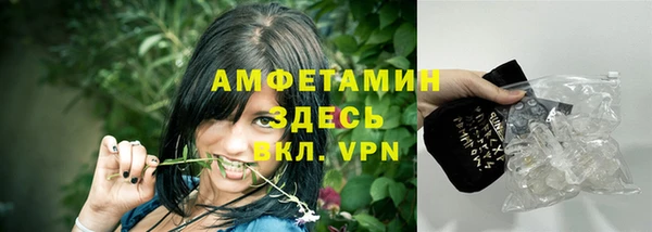 гидра Алексеевка