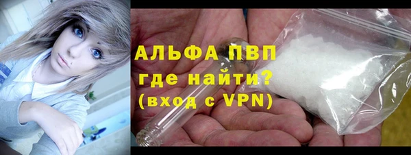 стаф Алексин