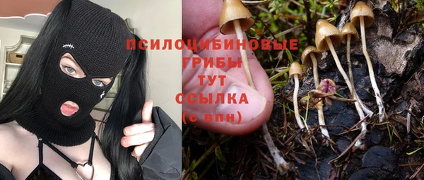 стаф Алексин