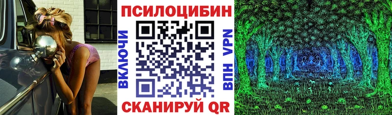 что такое наркотик Лобня Псилоцибиновые грибы Psilocybine cubensis